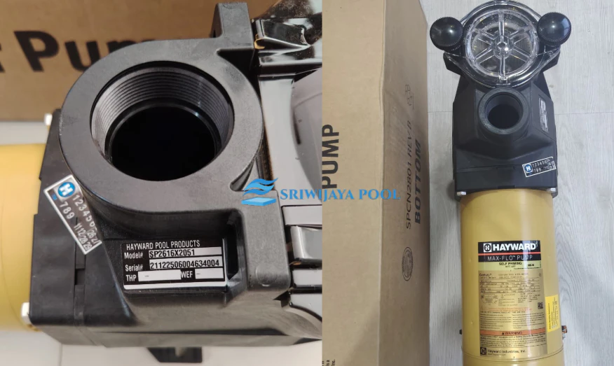 Tips Memilih Pompa Kolam Renang